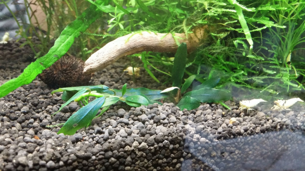 クアラクアヤン北部Ⅰを